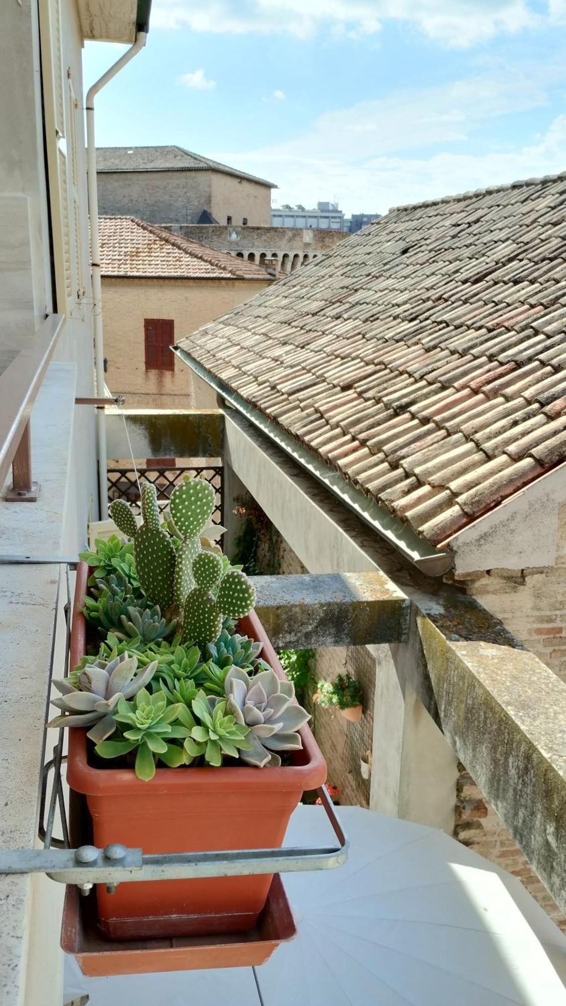 Palazzo Cavalletti - Appartamenti Nel Cuore Di Senigallia Exteriér fotografie